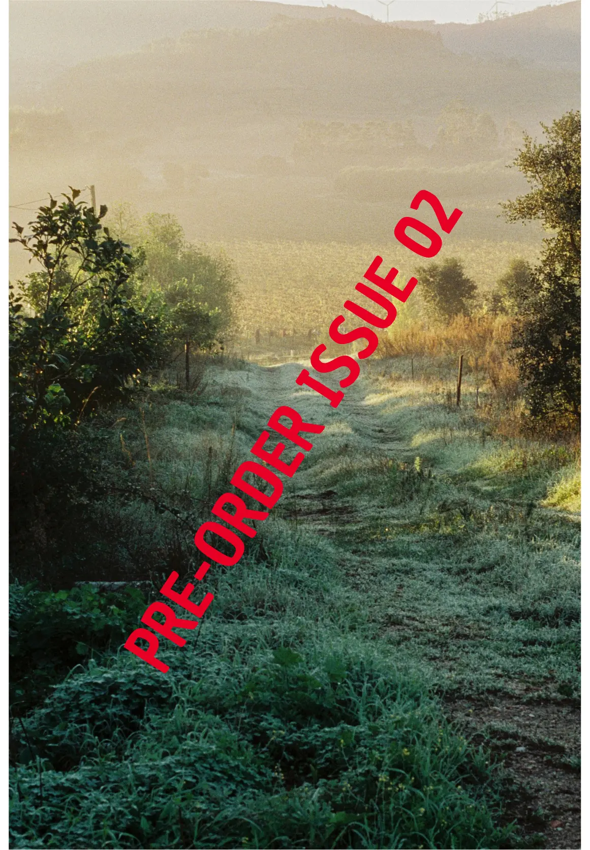 2Pages ISSUE 02
