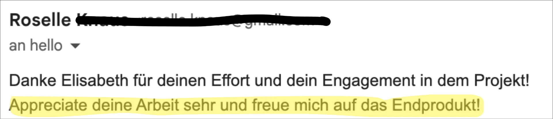 Email from Roselle: Appreciate deine Arbeit sehr und freue mich auf das Endprodukt!